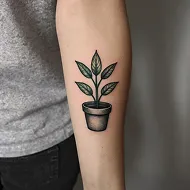 盆栽植物刺青