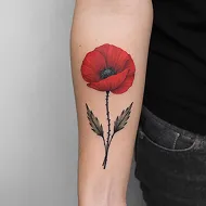Tato Poppy Merah