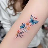 Tato Watercolor